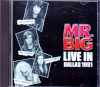 Mr. Big ミスター・ビッグ/Texas,USA 1991