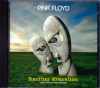 Pink Floyd sNEtCh/Demo and Outtakes 1983-1993