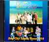 Beach Boys ビーチ・ボーイズ/Texas,USA 2014