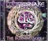 Whitesnake ホワイトスネイク/Osaka,Japan 2015