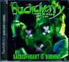 Buckcherry バックチェリー/Osaka,Japan 2001