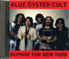 Blue Oyster Cult u[EICX^[EJg/New York,USA 1981
