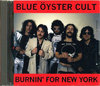 Blue Oyster Cult ブルー・オイスター・カルト/New York,USA 1981